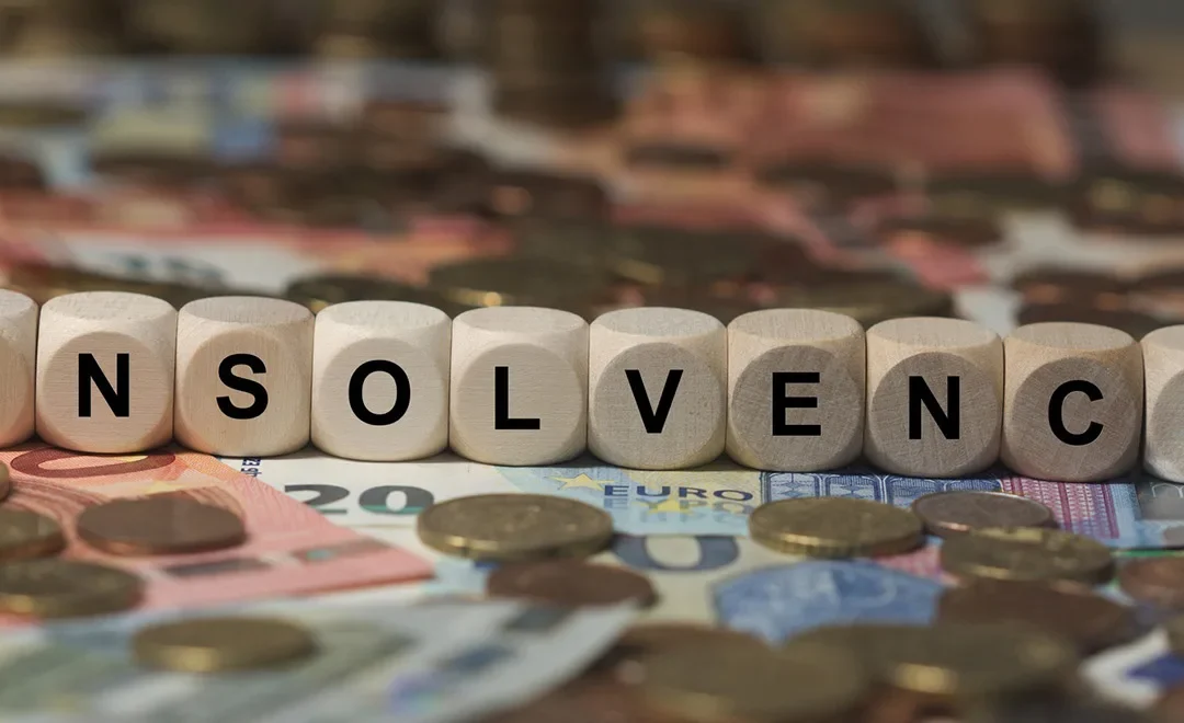 Pandemic-era company placed in insolvency